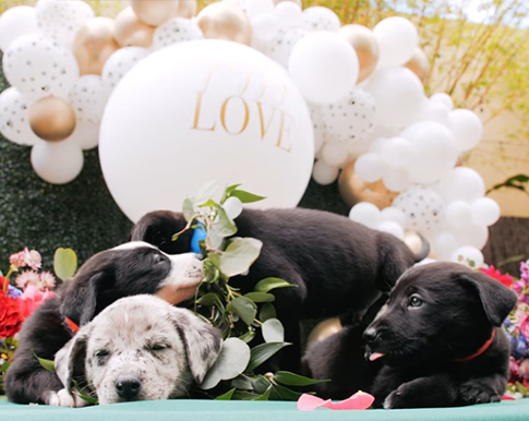 Griffeth and Sarah Whitehurst embrace on the mezzanine of Whitehurst Gallery.