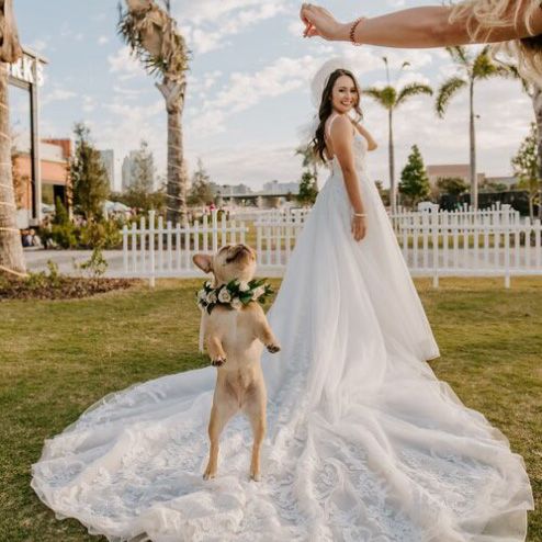 image of a bride in white dress with long train spread out and a small tan dog wearing flowers around its neck jumping